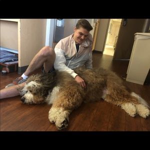 Meet your Posher, Will